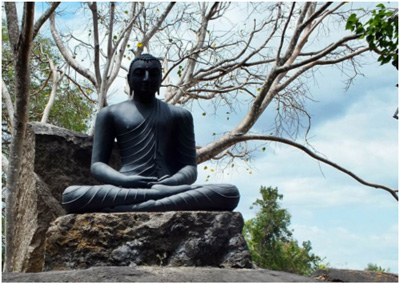 Sri lanka Buddhist Tours