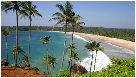 Sri lanka Buddhist Tours