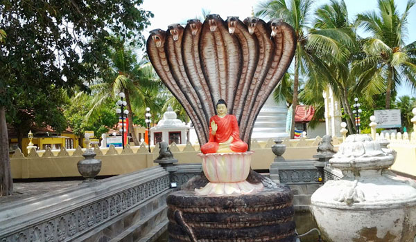 Sri Lanka Buddhist Tours