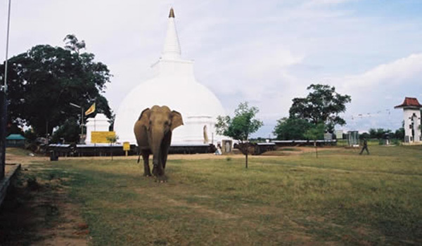 Sri Lanka Buddhist Tours