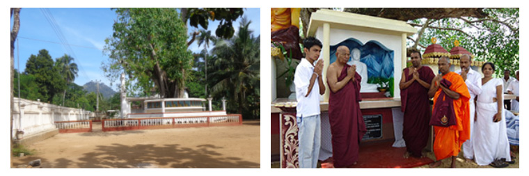 Sri lanka Buddhist Tours