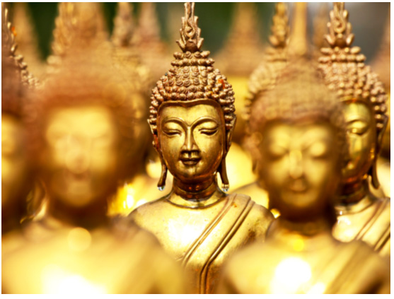 Sri lanka Buddhist Tours